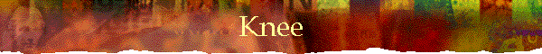 Knee