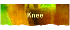 Knee